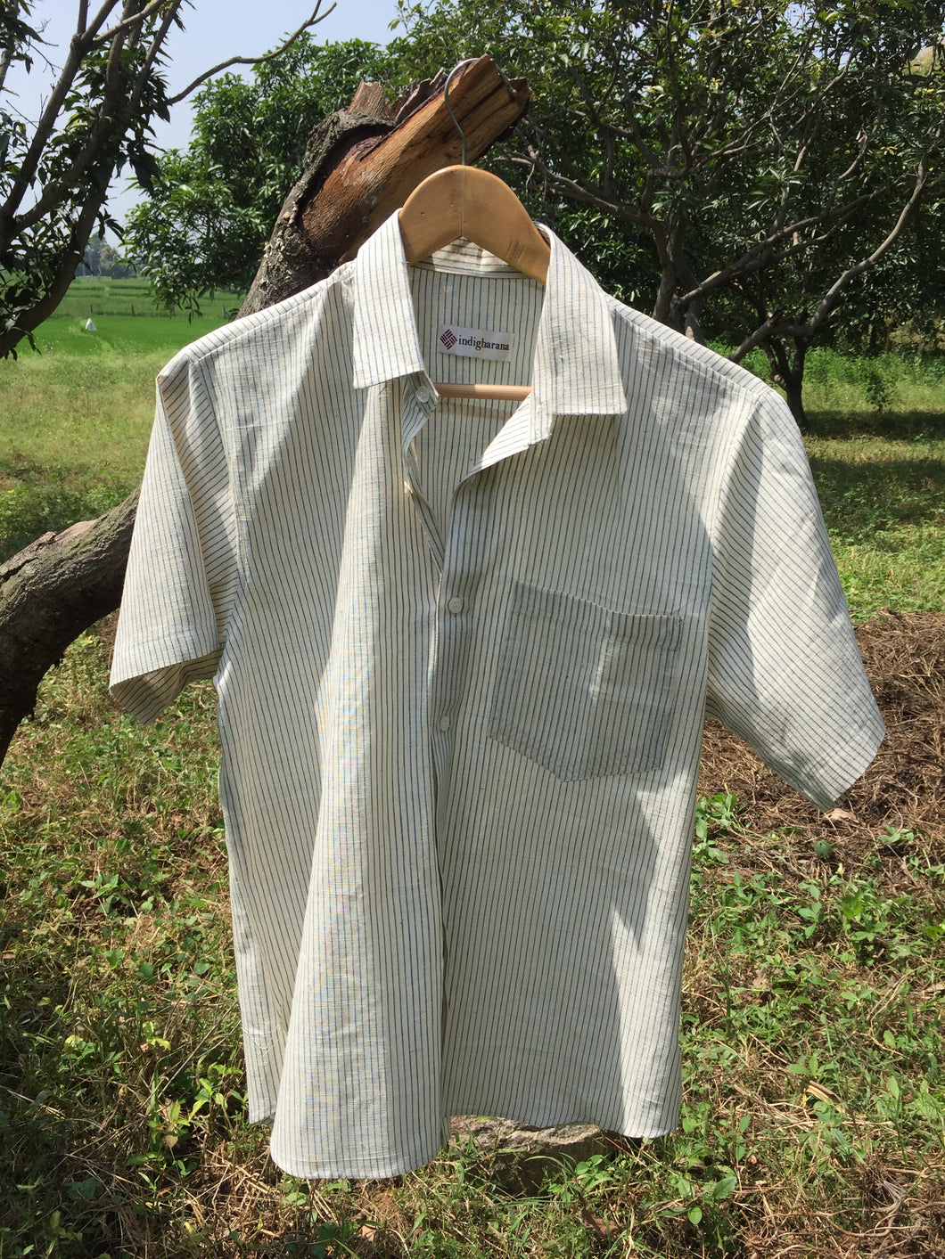 Half Sleeve Striped Shirt (White)